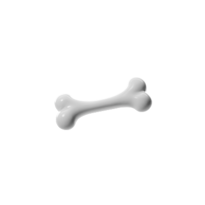 Bone
