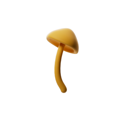 Mushroom 01