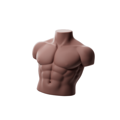 Torso